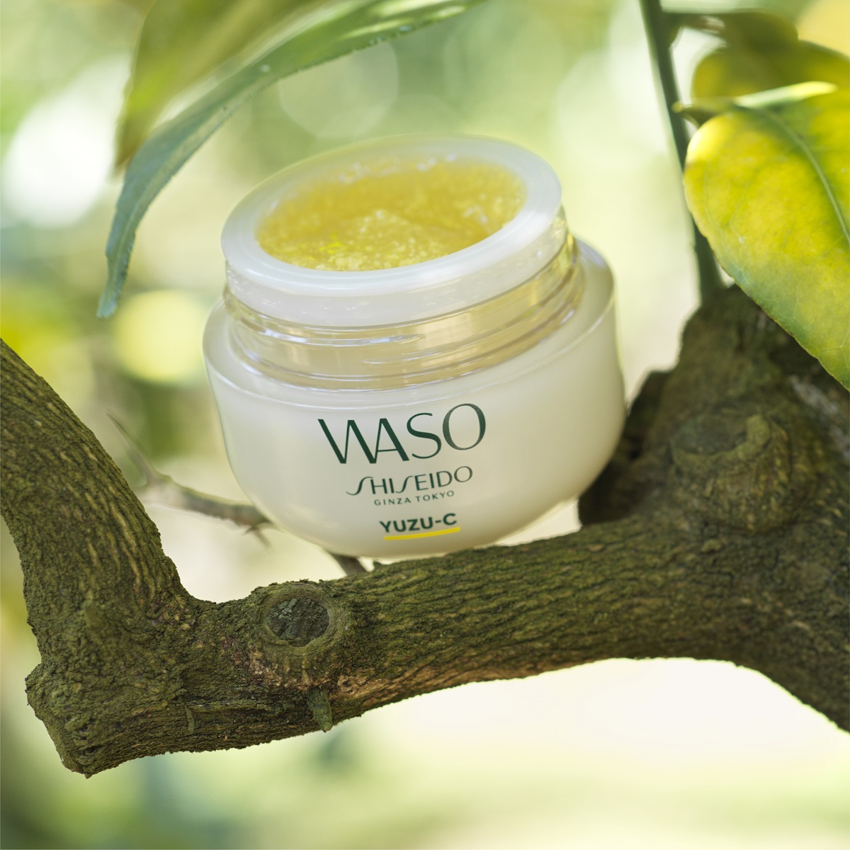 Enriquecido con Yuzu madurado al sol, Beauty Sleeping Mask regenera la piel mientras duermes para un aspecto radiante. bit.ly/3wMIYfN