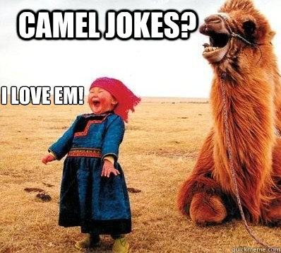 Chilled Camels tweet media