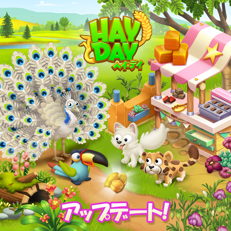 ヘイ デイ公式 Haydayjp Twitter