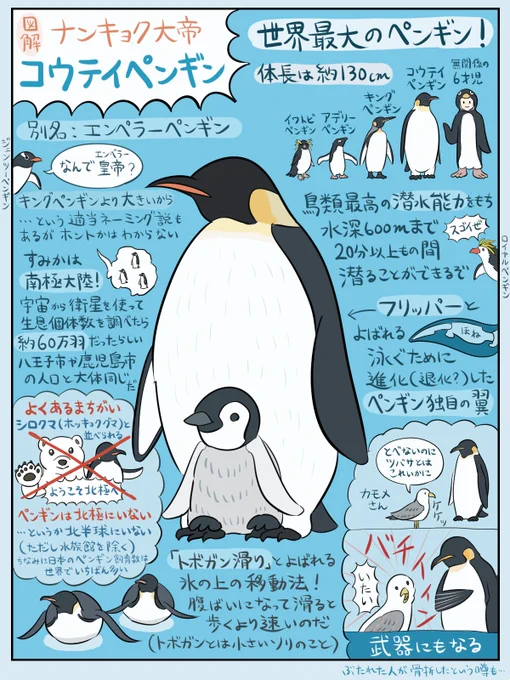 本日3/25は #世界ペンギンの日 なので前に描いたコウテイペンギン図解&スゴロクを再掲しておきますね(『なんかへんな生きもの』収録)。毎年アデリーペンギンがこの日の前後にアメリカの南極基地にやってくるので科学者たちが「ペンギンの日にすっか」と祝ったことが始まりだそうです。そりゃ祝うわ 