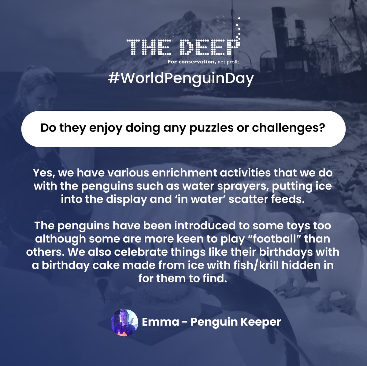 TheDeepHull's tweet photo. Today is #WorldPenguinDay 2022! π§
Last week we asked you to send us your Penguin questions! Here's what our penguin team had to say π
The winner of the Gentoo penguin feather will be contacted shortly!
#TheDeepHull #AskTheKeeper #GentooPenguin #PenguinFeather #PenguinDay https://t.co/nccV0nUBKR