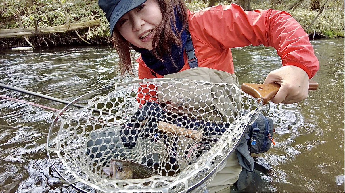 YasukoOhya's tweet photo. フライフィッシング 長野の渓流でイワナが釣れました💕🐟#slowloop #looptackle #flyfishing #星のリゾート釣り #釣り旅 #スローループ #フライフィッシング #大人の休日釣り倶楽部 #yasukoお気に入り #女子渓流釣り おすすめの動画はこちら→https://t.co/JjlLdJ90vl https://t.co/x5jmbwr8Tf