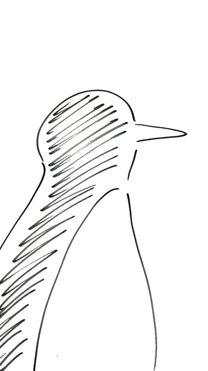 penguin 