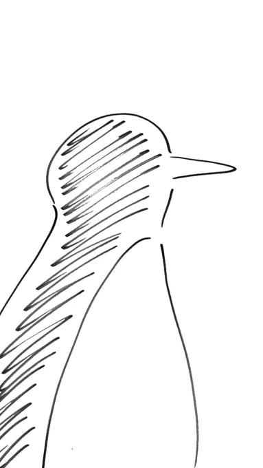penguin 