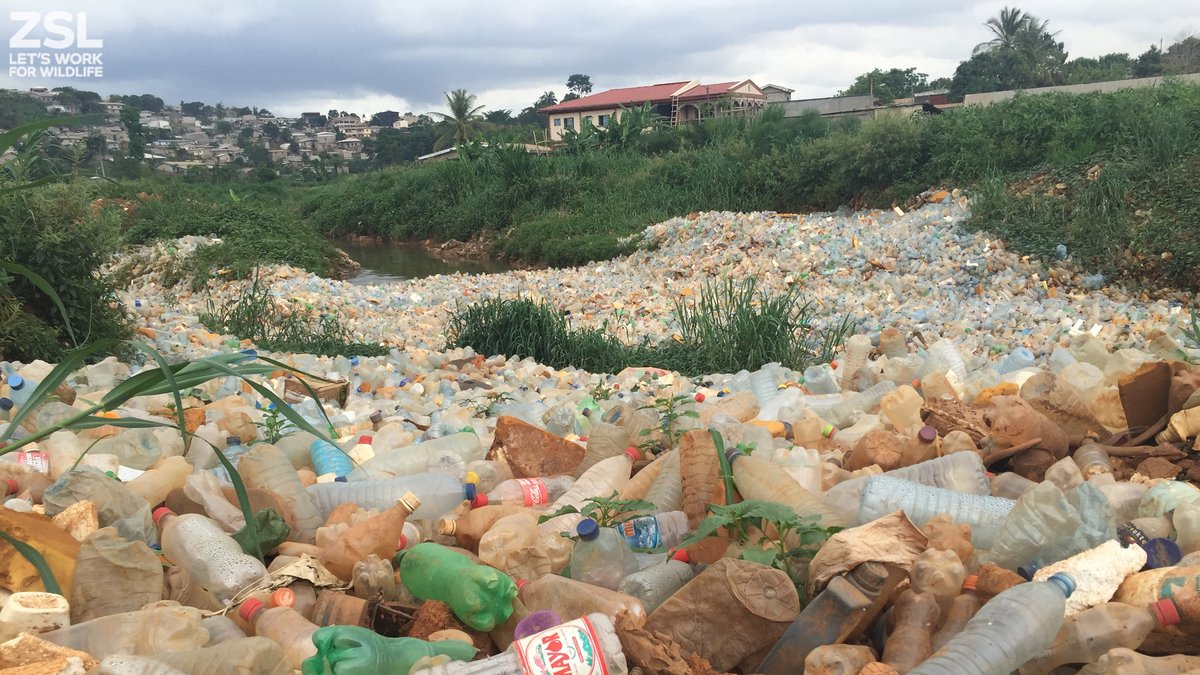 ZSL Science tweet media