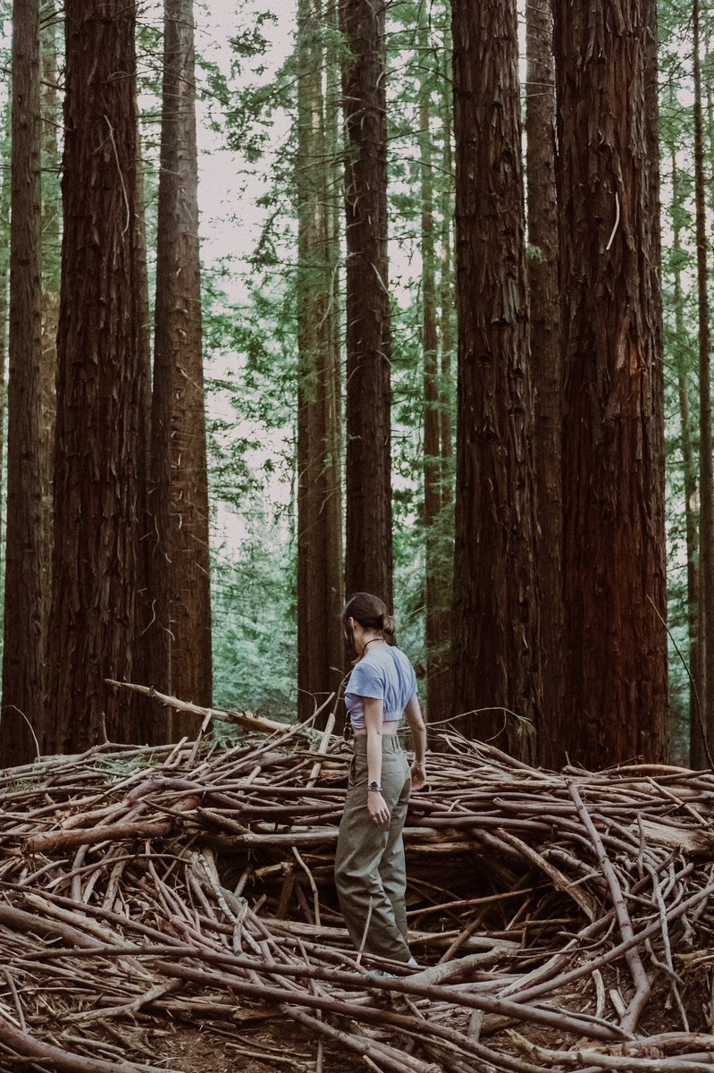 sstillthesame_'s tweet photo. Warburton Redwood Forest, Melbourne 

#Melbourne #Travelphotography #Timeoutmelbourne #EarthDay2022 https://t.co/42EOKGsJlu