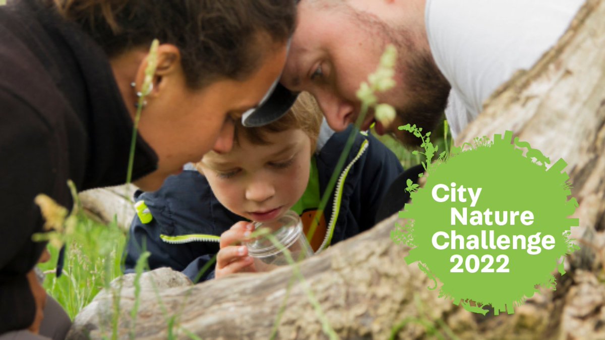 AD #CityNatureChallenge takes place this week!🐝Join the epic nature count taking place in Bristol &amp; Bath from Fri 29 April - Mon 2 May. Record as many wildlife sightings as you can using the <a href="/inaturalist/">iNaturalist</a> app and help local conservation work.🦋Take part: citynaturechallenge.org.uk