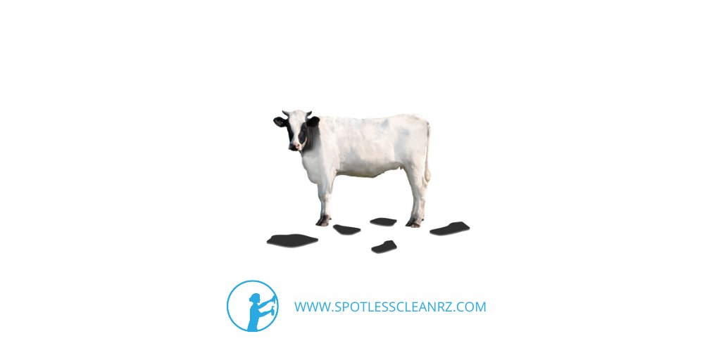 cleanrz's tweet photo. Nothing like a spotless clean!

Where a spotless clean means you don't have to clean after your cleaner.

Learn more and contact us at https://t.co/p6DxfEXSVc 👈🏻

#clean #spotlessclean #spotlesscleanrz #invermere #westermere #home #office #holidayhome #holidaycottage https://t.co/bq75St2JUM