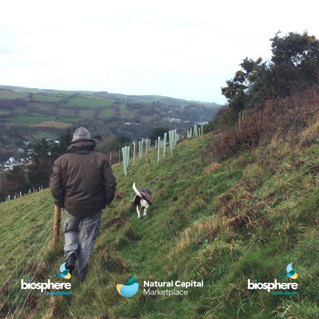 EXCITING NEWS coming from within our North Devon UNESCO Biosphere….

The Natural Capital Marketplace launches today! This new online platform promises a positive future for farmers &amp; landowners. 

Find out more about it here >> northdevonbiosphere.org.uk/news