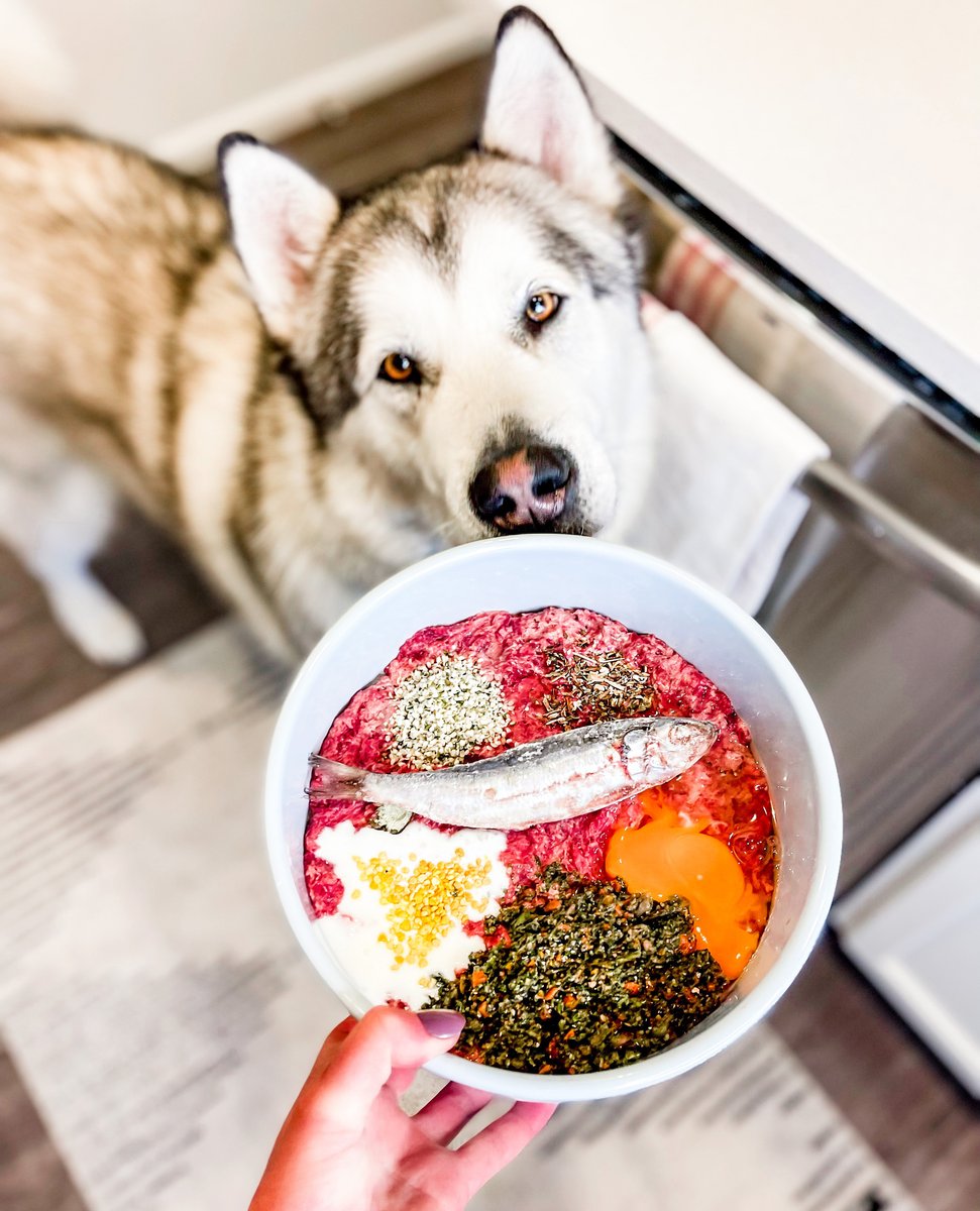 Dr. Harvey tweet media