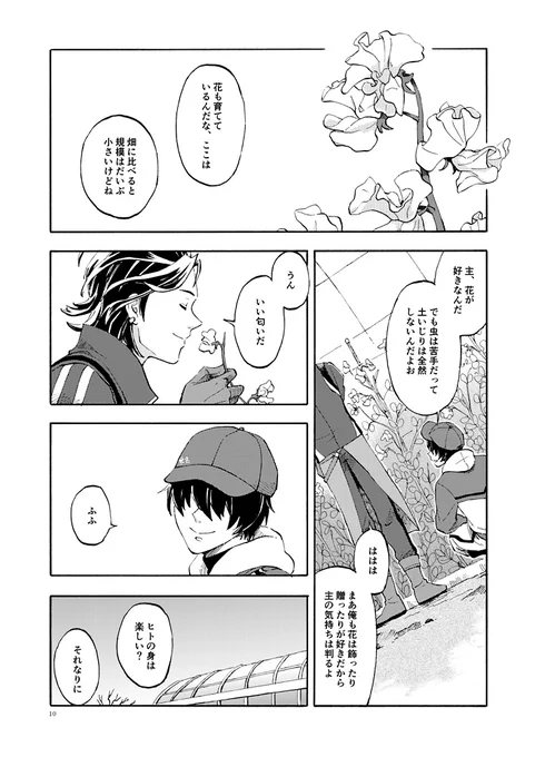 見本続き 