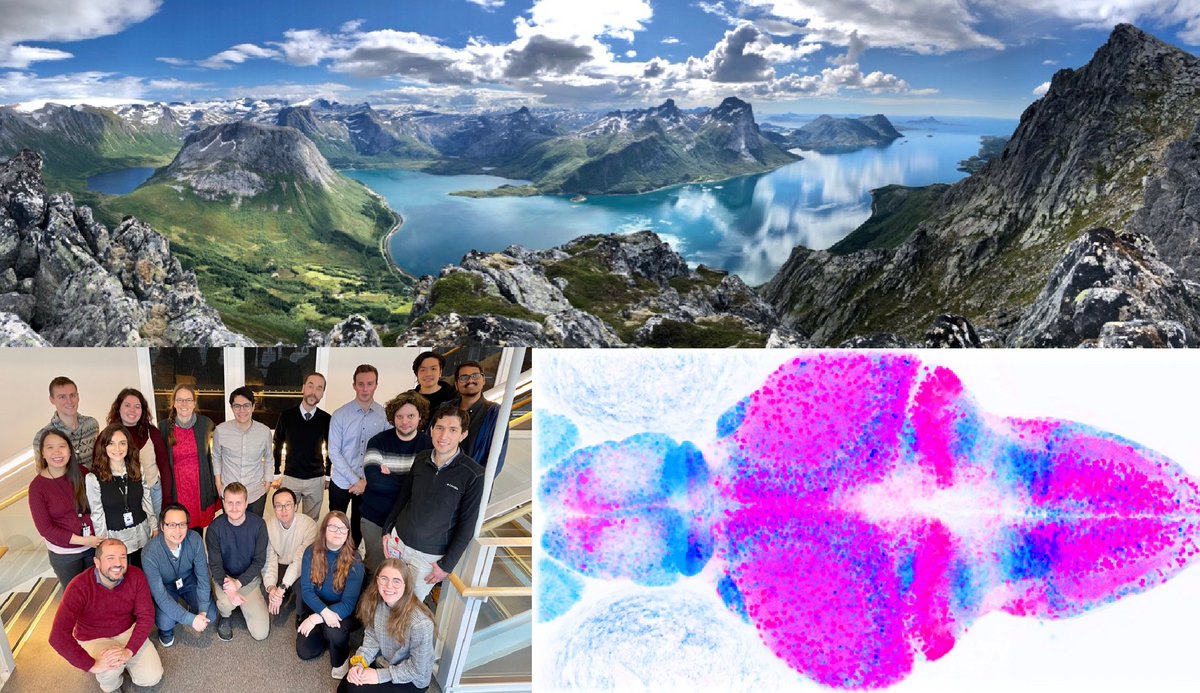 Interested applying machine learning, applied mathematics &amp; data science tools for analyzing neural connectivity and sequential activation of neural ensembles associated with sensory computations and learning? We are hiring a PhD student ! <a href="/KISNeuro/">Kavli Neuroscience</a> <a href="/NTNU/">NTNU</a>.bit.ly/3xRrLSQ