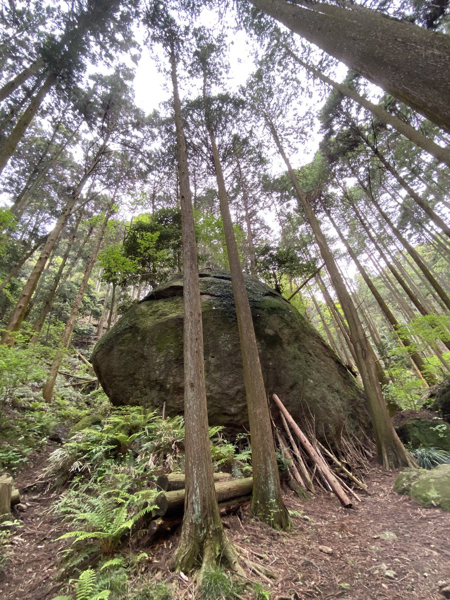 七沢温泉に行ってきた♨️久々の温泉…🥹強アルカリ性らしくて、手がにゅるにゅるした！肌もツルツル✨近くにあったパワースポット・亀石にも寄って良い休日となった😌