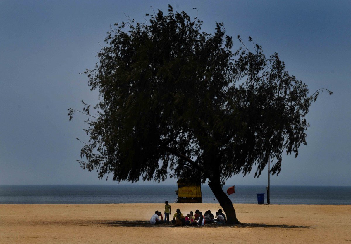 TOIMumbai's tweet photo. People take shelter under a tree at #Girgaon chowpatty in #Mumbai. Many parts of India are experiencing heat wave conditions with temperature hovering above 45 degree Celsius (113 fahrenheit). https://t.co/gRpwOhfJ0L