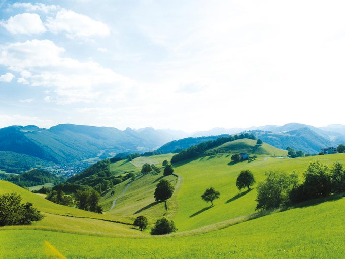 STMediaCH's tweet photo. Eine Entdeckung wert! Der #NaturparkThal im Solothurner Jura! Zum Beispiel am grossen Naturpark Märet in #Balsthal!  
40 Erlebnisstationen mit Wurst, Käse, Brot &amp; Handwerk aus der Region!
30.4.22
@VisitSolothurn @aargautourismus #SchweizerPärke
https://t.co/QCNAVxgJiM https://t.co/bIe3FevAki