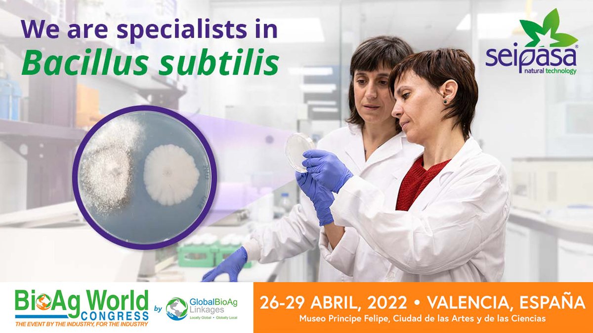 seipasa's tweet photo. We are #BacillusSubtilis applied to agriculture. Do you want to know why?
🧪 Specialization
🔬 Innovation
🌱 Natural Technology
🛡️ Effectiveness in the fight against pests and diseases
Get to know it at the #BioAgWorldCongress.
📍See you at Booth 7
#Seipasa #NaturalTechnology https://t.co/G1J9F7ty9C