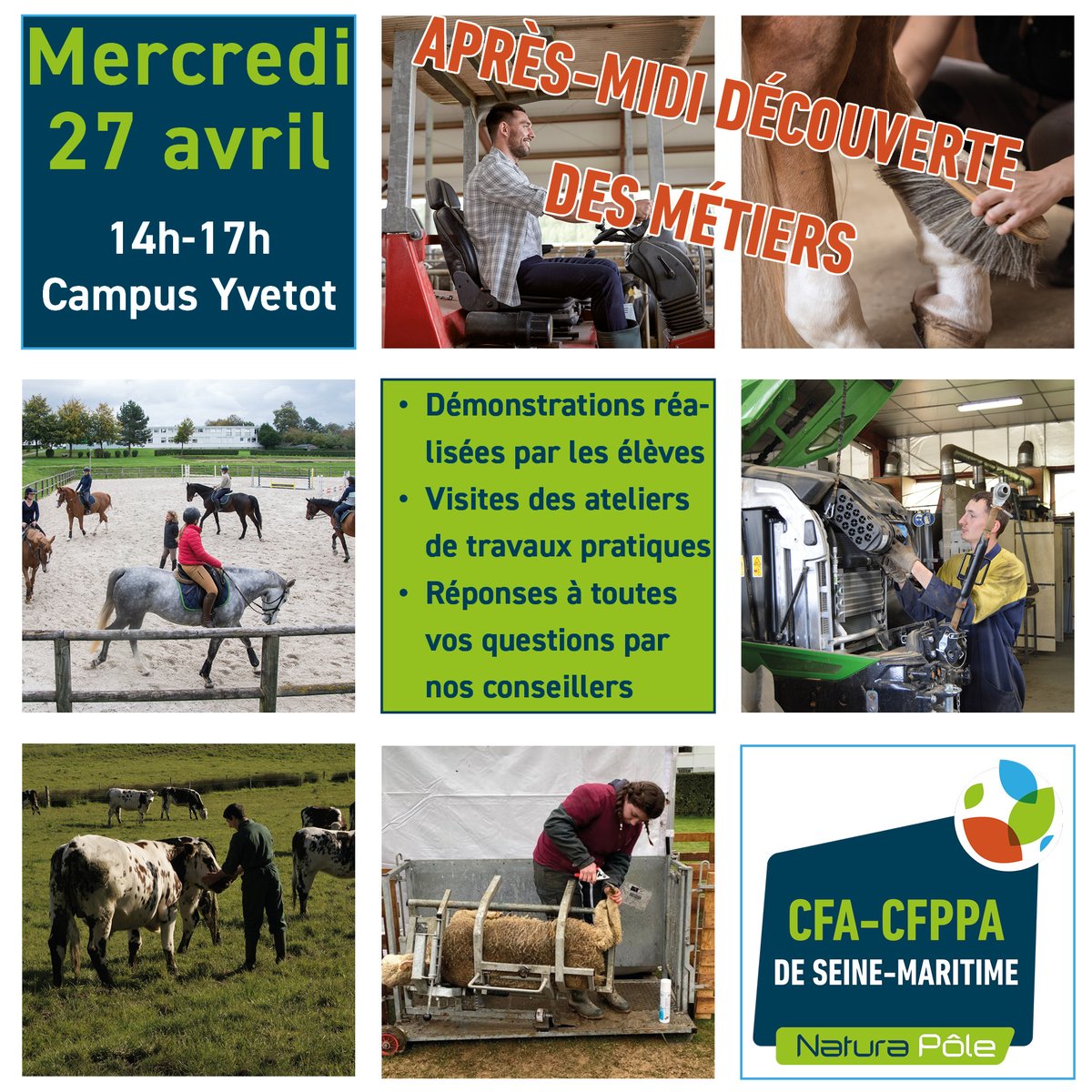 Le meilleur moyen de découvrir quels métiers se cachent derrière les formations que nous proposons en agriculture et en cheval ! Ces formations sont destinées au public scolaire mais également aux demandeurs d'emploi, salariés en reconversion, ...