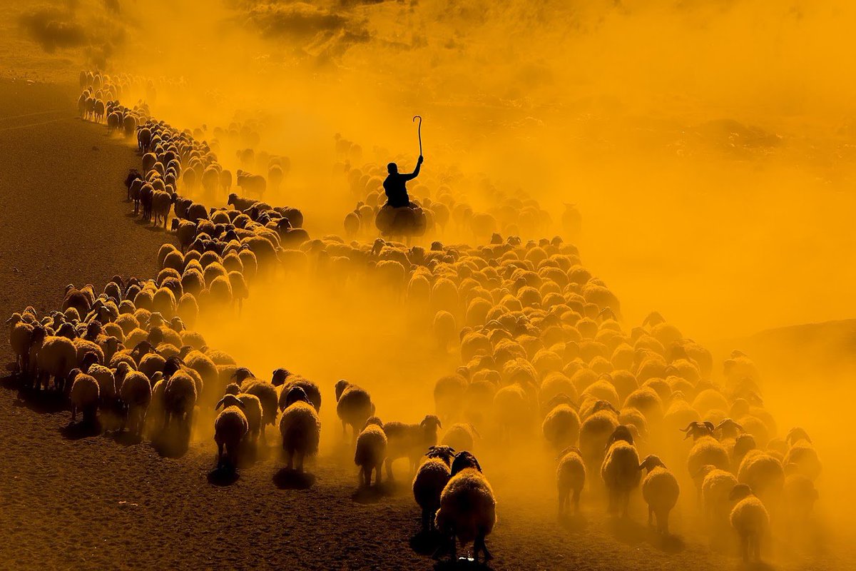 National Geographic’te birincilik elde eden tek Türk kadın fotoğrafçı Dilek Uyar’ın kadrajından, Bitlis (2019).