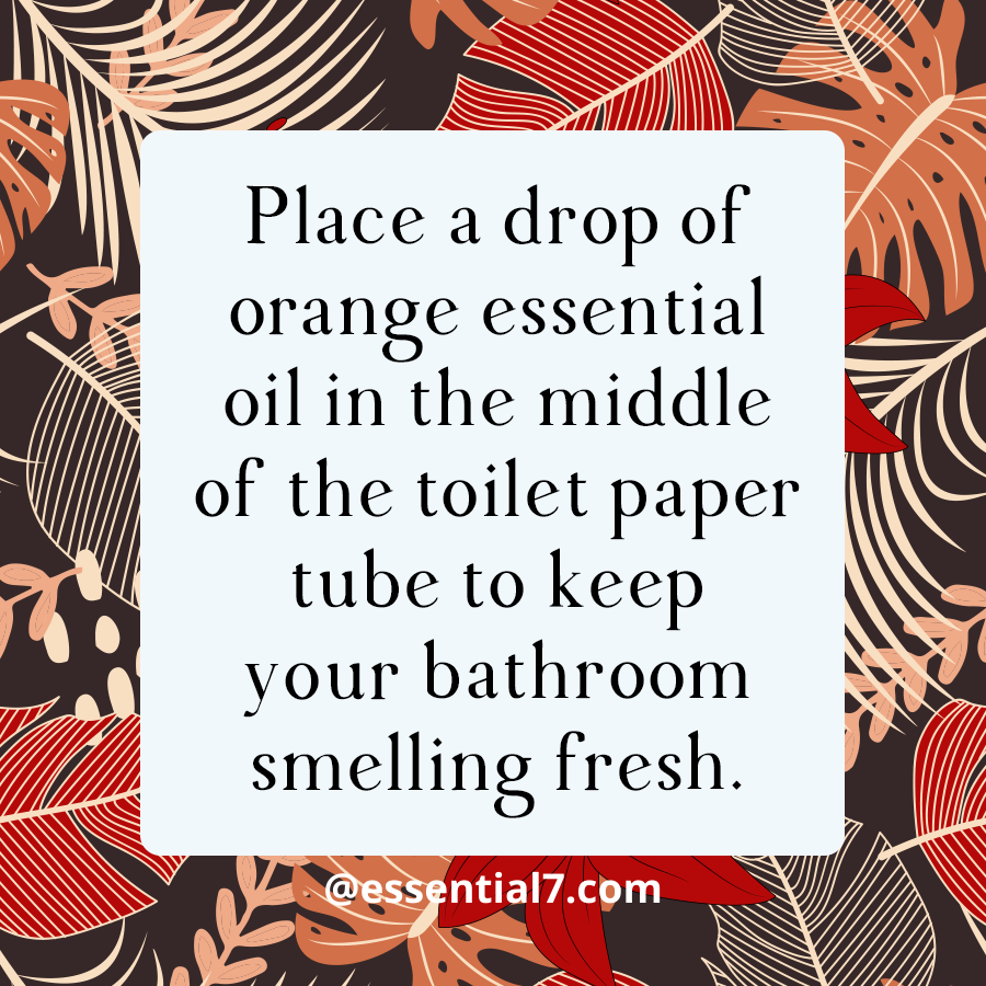 Essential7com's tweet photo. Add Orange Essential Oil to Toilet Paper to Eliminate Bathroom Odors. Keep your bathroom smelling fresh. Visit us to know more!
https://t.co/hPMwtfpuR2
#essentialoils #natural #wellness #organic #yleo #selfcare #crueltyfree #orangeoils #essential7 https://t.co/HHMfjxg7QG