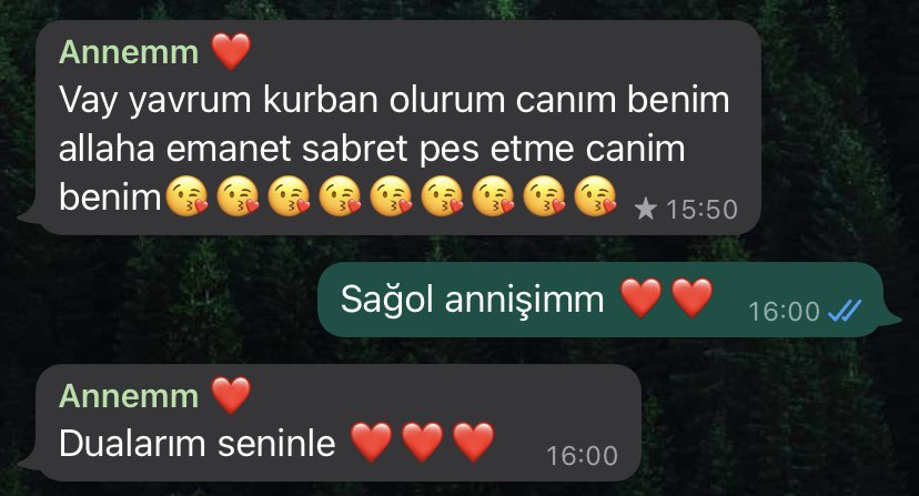 Annem olsa ne derdi diye düşünmekten uyuyamazken eski konuşmalarımıza bakmıştım. Harika bir insanın kızı olduğumu bir kez daha hatırladım. Sana söz pes etmeyeceğim, göremesen de beraber kutlayamasak da senin savaşçılığına yakışır bir doktor olacağım. Seni çok özledim.