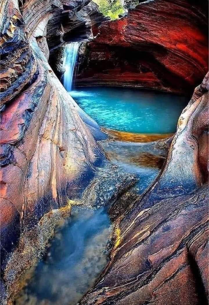 💜#NaturePhotography #beauty 💙