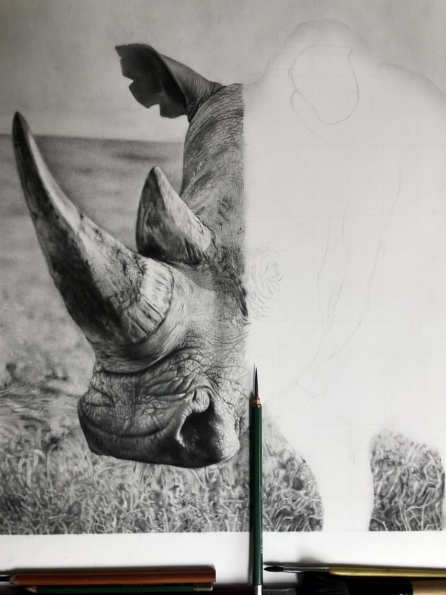hopemondayart's tweet photo. White rhinoceros 
Charcoal and Graphite drawing on paper 

Please RT 

#drawing #drawingoftheday #rhino #rhinoceros #art #ArtistOnTwitter https://t.co/0hlToXDsFi
