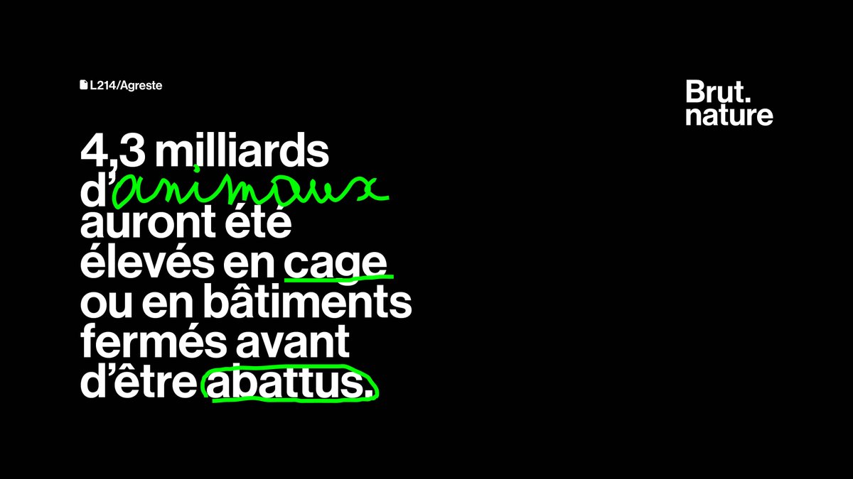 brutofficiel's tweet photo. 5 ans pour agir. 
2/2 https://t.co/RYax2WDXNV
