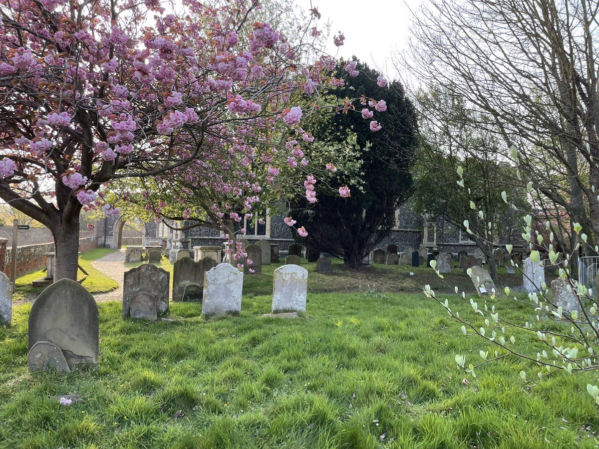 SHCTBikeRide's tweet photo. Aren’t our churchyards looking wonderful this spring? This photo was taken in Aldeburgh this weekend. https://t.co/R7pstrSY4g