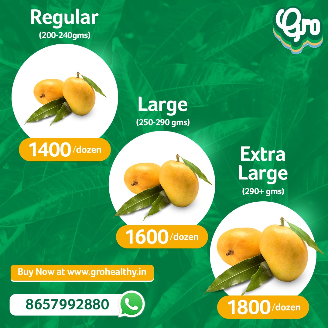 GroHappiness's tweet photo. Place your Gro Alphonso orders today to experience the best of quality, quantity, and price. Hurry! Order Now.

#GroHappiness #GroAlphonsos #Mangoes  #SummerSeason #BringHomeHealthy #HealthyFood #Ratnagiri #Devgad #MangoSeason #Offers #OffersOnMangoes https://t.co/NI4Rdf5pCp