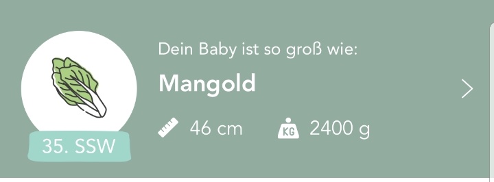 RPferdemadchen's tweet photo. #wochenwechsel
35. Woche startet, erster offizieller Tag im Mutterschutz.
Das #junibärchen ist entweder so groß wie eine sehr große Cantaloup Melone 🤔🤔 oder wie ein Mangold. https://t.co/pYbcOoDjMt