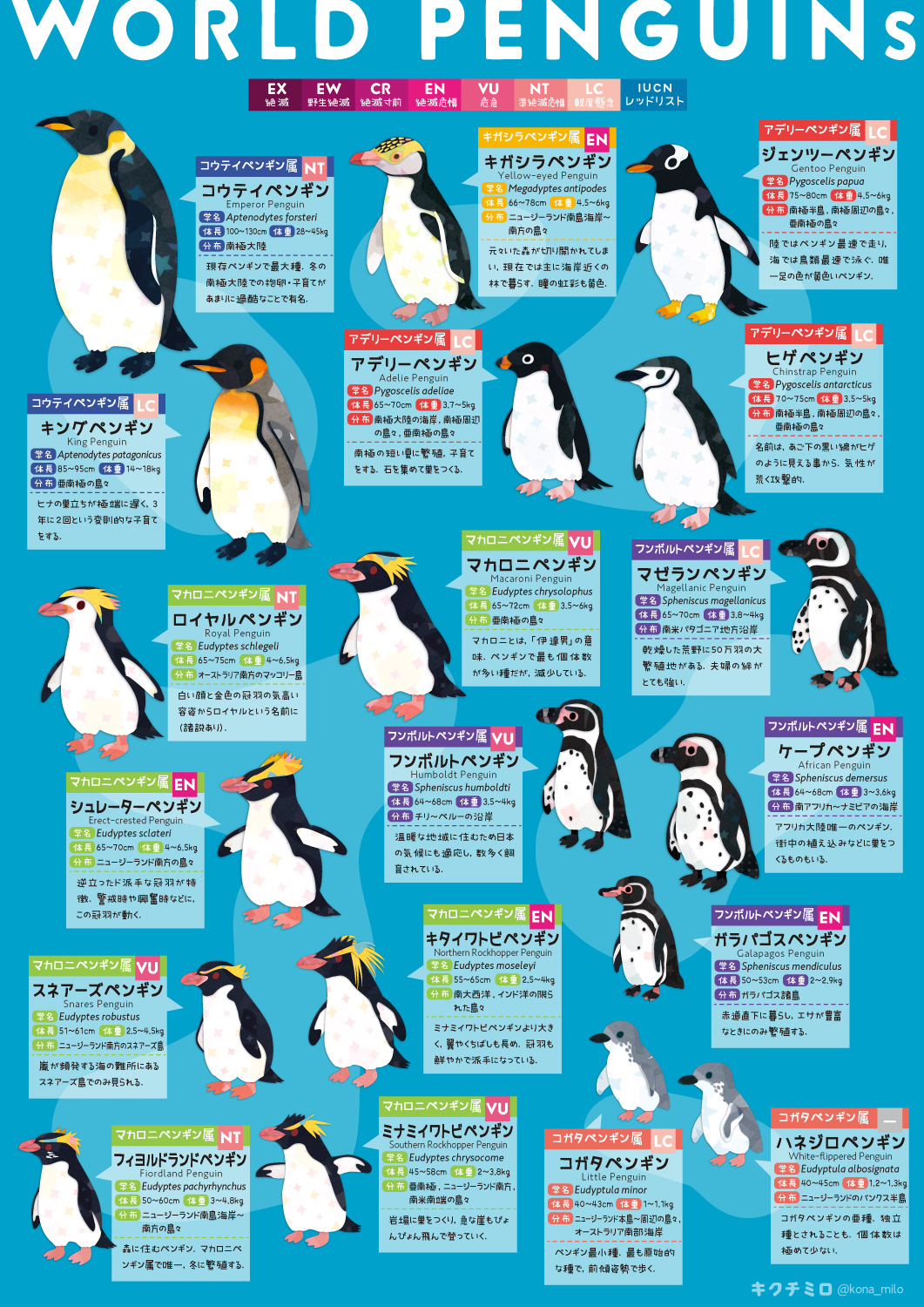 キクチミロ 世界のペンギンまとめです 世界ペンギンの日 T Co Zctrcqk1kx Twitter
