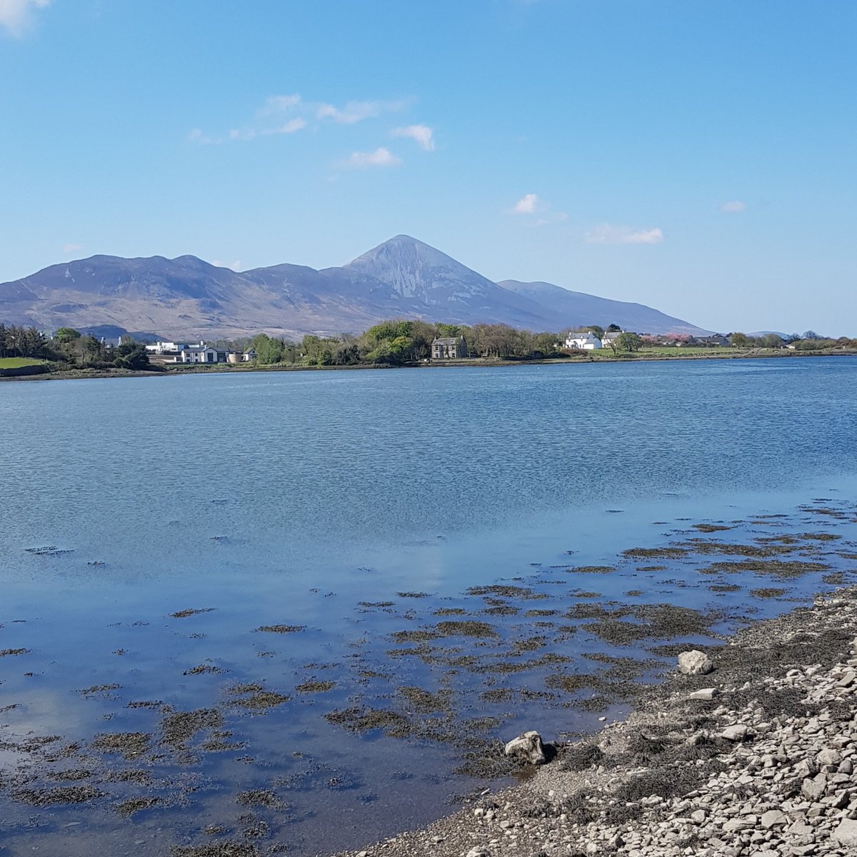 lough_mask's tweet photo. Beautiful fresh morning at Clew Bay
#westport #clewbay #wildatlanticway #irishgin #smallbatchdistillery https://t.co/WxbjNqUNK4