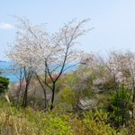 南三陸ホテル観洋のツイート画像