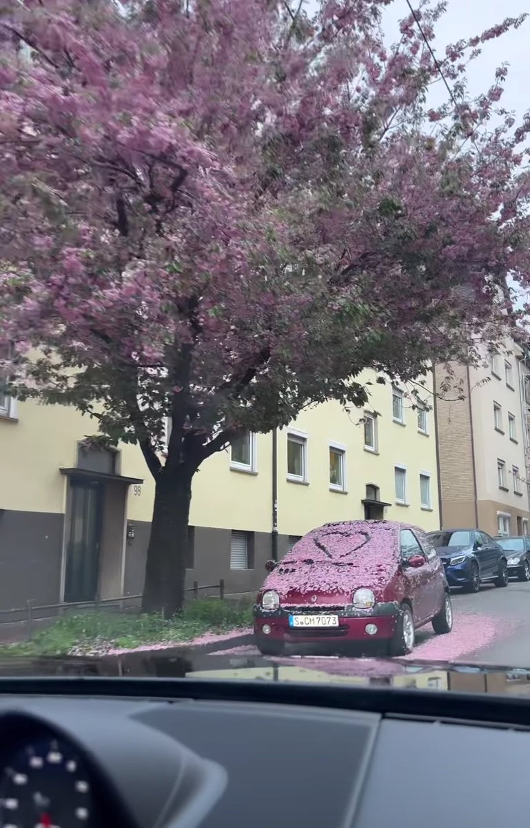 Dobro jutro ❤️