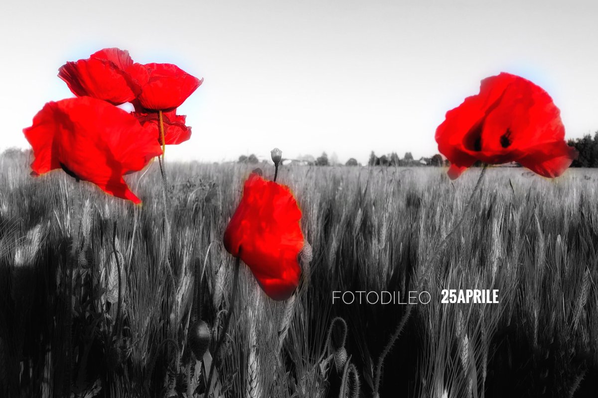 Coltivare la Memoria è ancora oggi un vaccino prezioso contro l’indifferenza e ci aiuta, in un mondo così pieno di ingiustizie e di sofferenze, a ricordare che ciascuno di noi ha una coscienza e la può usare. #LilianaSegre #fotodileo #25aprile