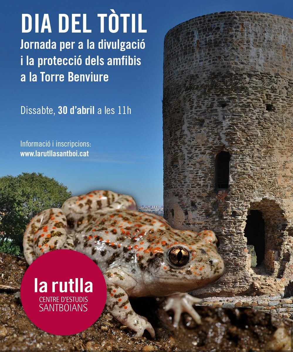 Celebració del Dia del Tòtil.
Dissabte, 30 d'abril, a les 11 hores, a la Torre de Benviure.
A càrrec de Gerard Carbonell, expert de la Societat Catalana d'Herpetologia.
Informació i inscripcions en: larutllasantboi.com