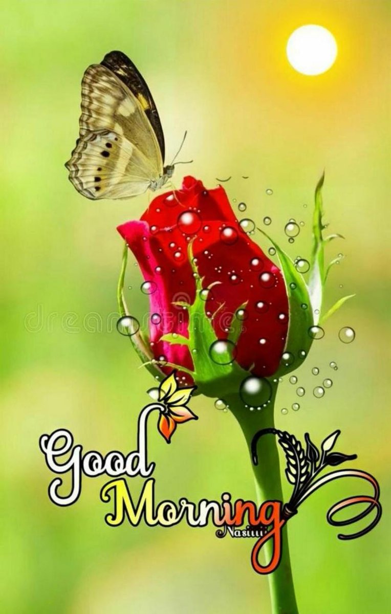 aazad ali tweet media