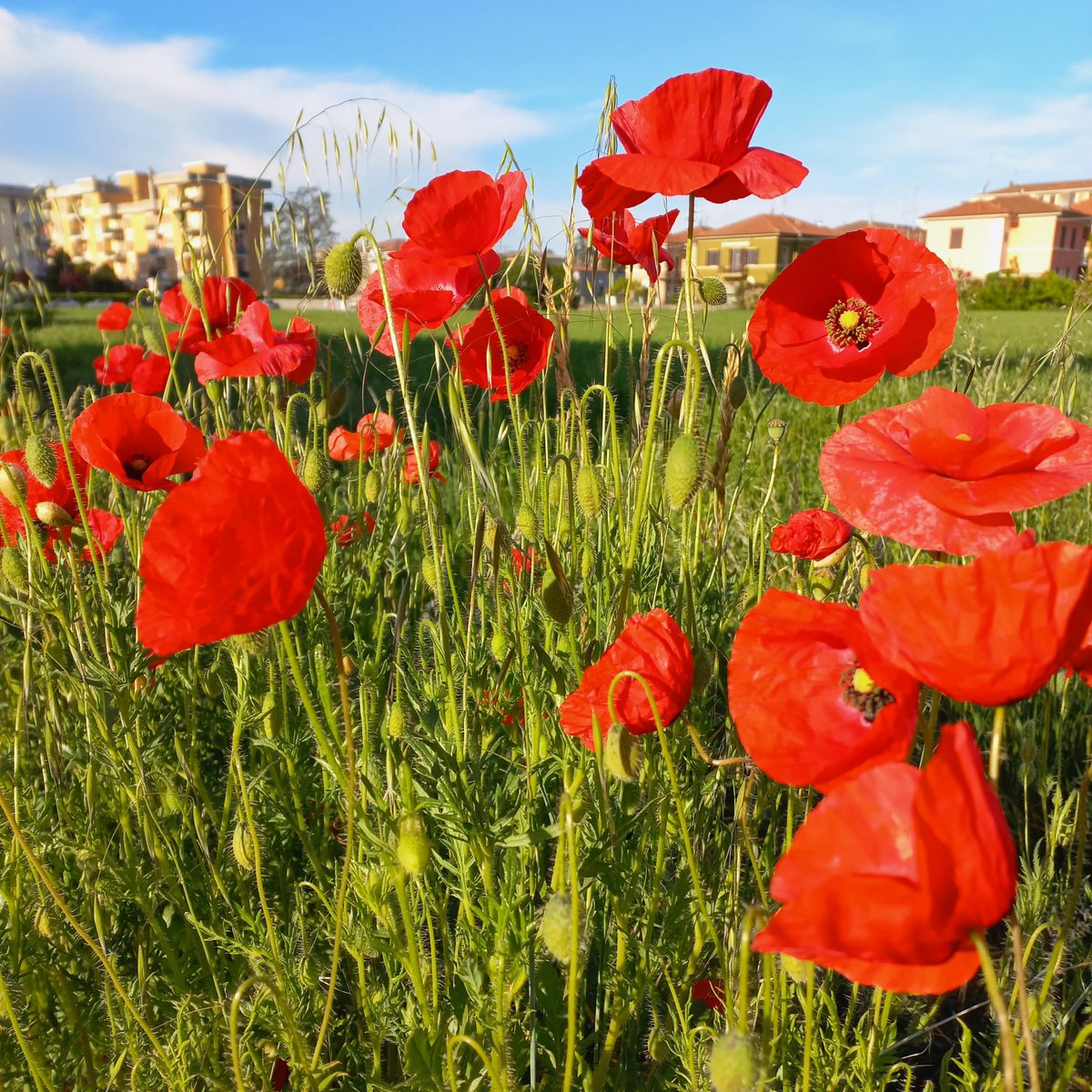 Buona liberazione a tutte e tutti! Buon 25 Aprile!