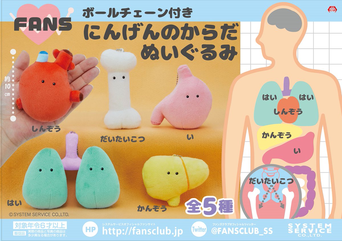 遅延しておりました「FANS にんげんのからだぬいぐるみ」が今週より