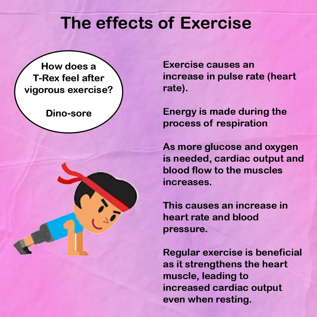 ioteach's tweet photo. Have you ever wanted to know what the effects of exercise are? well we have got you covered #Science #Education #GCSE #Humanbody #Learning #Exercise #effectsofexercise #biology https://t.co/nC2Zp0loCA