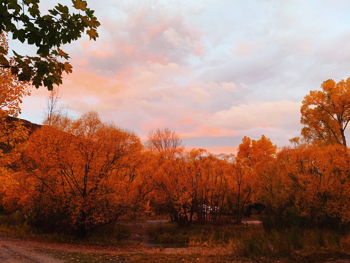 NzPeaker's tweet photo. Peaking in New Zealand at this time of the year means preparing for shorter days and cooler weather, but look at those colours 🍂 #arrowtownNZ #onetreeplanted #EarthDayEveryDay @MyPeakChallenge @SamHeughan https://t.co/8DTbF6JDQ8