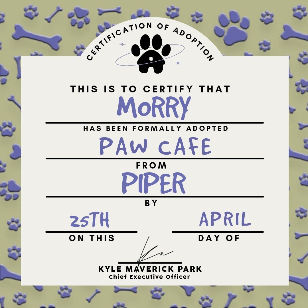 ⠀⠀⠀⠀⠀⠀⠀⠀⠀
⠀⠀⠀⠀[ 🐾 ] YOU RECEIVED A PET!

⠀⠀⠀𓏲 from  ›  riri
⠀⠀⠀𓏲 to      ›  @dollracerx

⠀ 💬 “hi piper. dahil mabait ako bibigyan kita ng baby na cat. happy 2nd month sa atin nila boss drein.”
⠀⠀⠀⠀⠀⠀⠀⠀⠀