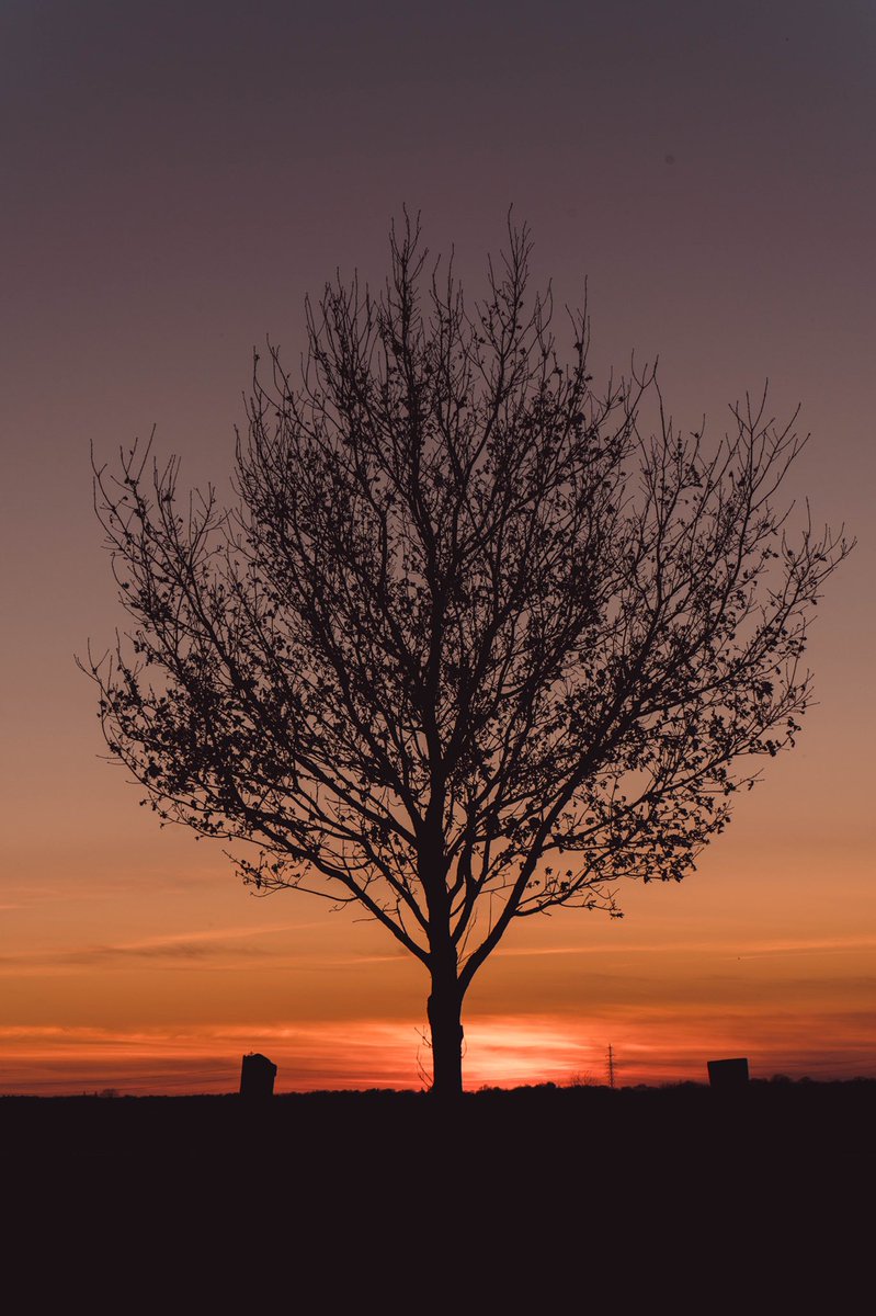shotsbycedric's tweet photo. Who else loves shooting silhouettes? 

#sonyphotography #sonyalpha #sonya #sony #photography #ii #photooftheday #nature #sonyimages #naturephotography #ig #a #portrait #photographer #streetphotography #portraitphotography #photo #mm #a74 #landscape #picoftheday #travelphotography https://t.co/JPZYjyHajB