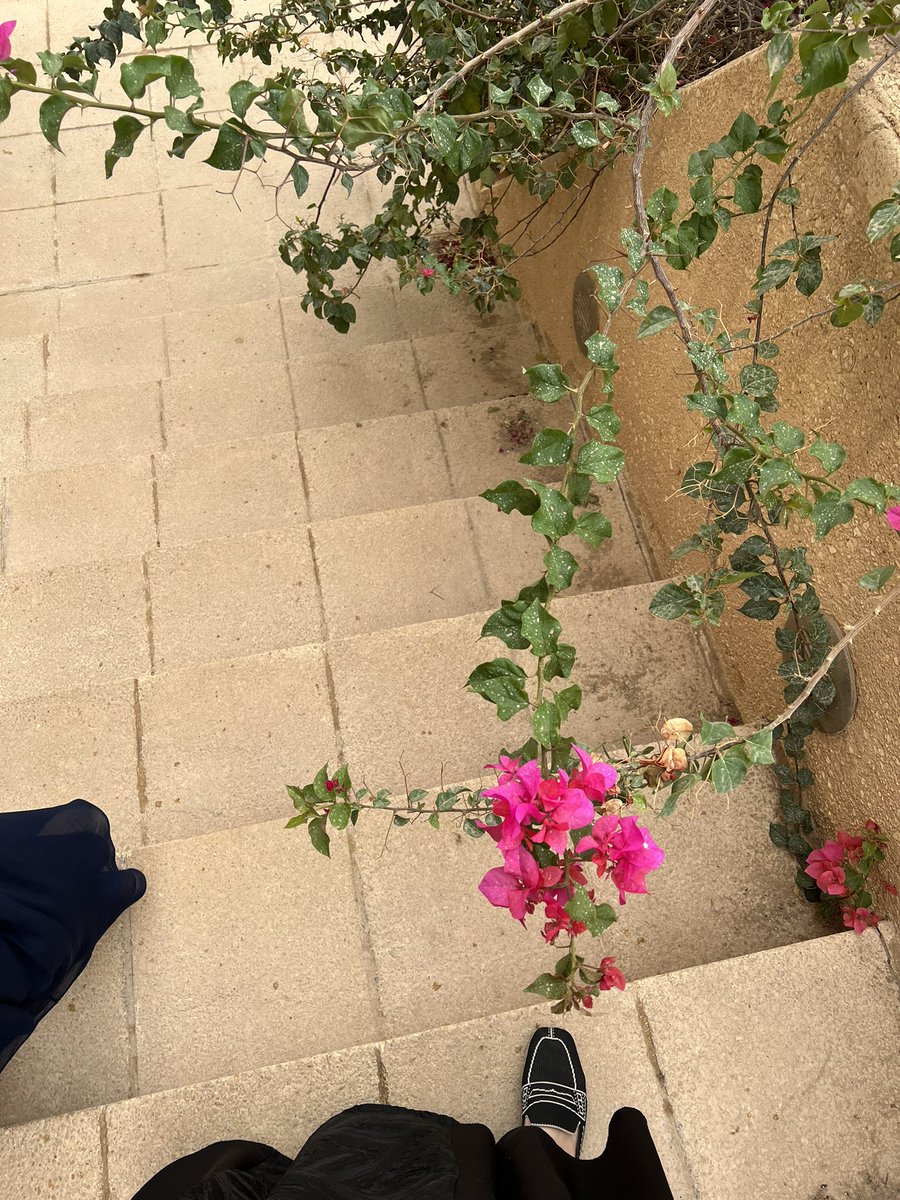 ath262's tweet photo. مطر وغيم وجو حلو ويالله الجنة وشوارع مافيها زحمة واخر يوم دوام 🏄🏻‍♀️❤️❤️❤️ https://t.co/0Tv2rUfAsE
