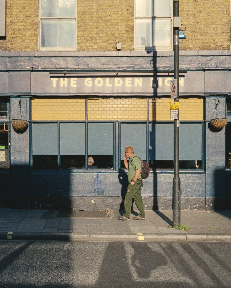 herrigerc's tweet image. The Golden Lion in golden light?