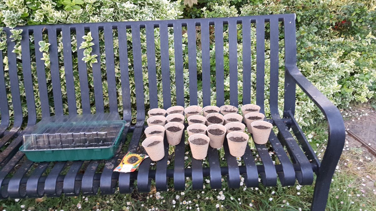 Little green fingers are getting busy at 
<a href="/BenceTra/">BenceHouseTRA 💙</a> Garden 🌻💚🌱🌳🌞
Spring is finally here!! 🌷🌹🌺🌻🏵
Watch this space for exciting upcoming events and many improvements to our beautiful space #gardening
Thank you <a href="/lewishamhomes/">Lewisham Housing Services</a> for
supporting us ⭐⭐⭐