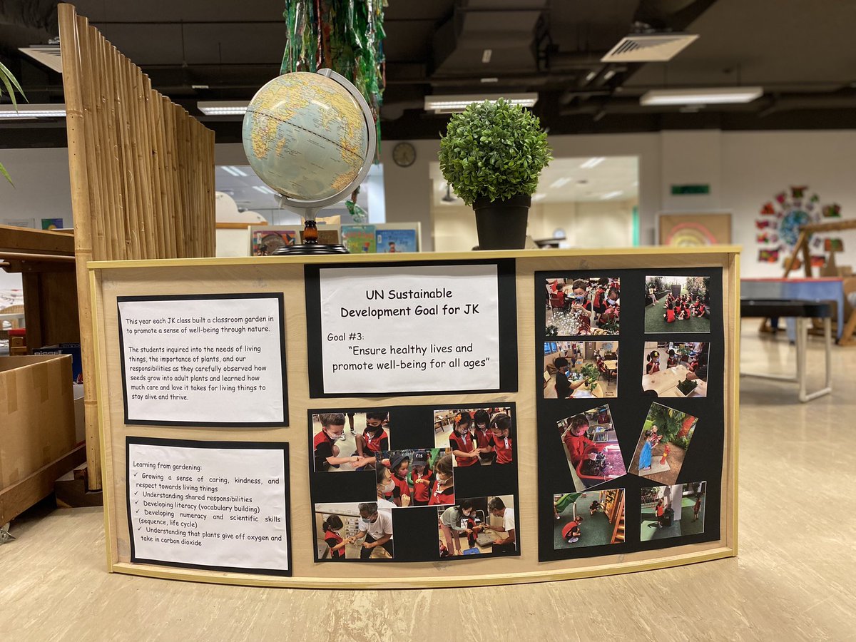 msheatherece83's tweet photo. Junior Kindergarten chose #3 from the UNSDG: Good health and well-being. Ss created a classroom garden while learning about how plants promote our wellbeing. #UNSDG #sharingtheplanet #IBPYP https://t.co/LaVoWrKqI5