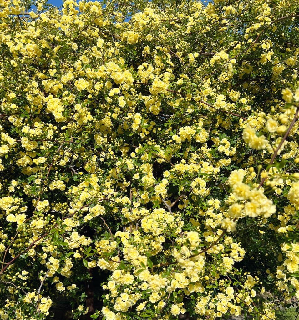 Mel💎Jewel tweet media