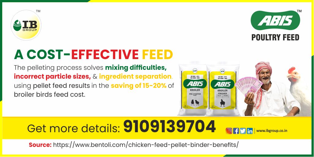 ibgroup_india's tweet photo. #ABISPoultryFeed is the most cost-effective💰 feed for #poultry which ensures a high-yielding poultry🐔 batch and💸 high-end profits📈
  
#IBGroup #ABIS @gulrez_alam_197  #poultrybird #Pelletfeed #poultryindustry #profit #growth #farmers #Chicken #immunity #livestockfeed #Protein https://t.co/12T6zppsUe
