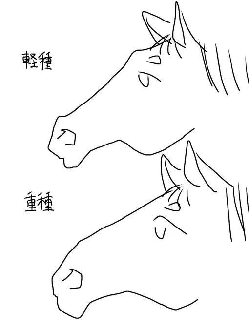 勝手なイメージ 
